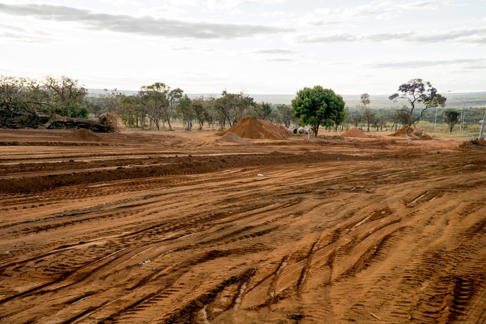 Land Clearing Services in Panama City & Northwest Florida